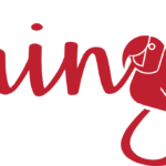 Karingana agencia de comunicação
